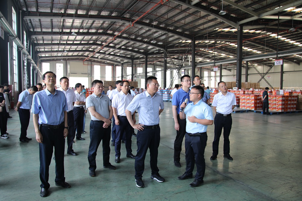 凯时KB88·(中国集团)官方网站